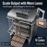 Machine d'emballage automatique multi-voies à haute productivité en acier inoxydable 316L pour liquides et assaisonnements alimentaires, usine OEM