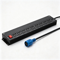 Rack-PDU mit 12 Steckdosen, 32A 220V, Überspannungsgeschützte Stromverteilungseinheit, Mehrfachsteckdose 1U Rackmount-Steckdosenleiste mit Schalter für Innenbereich
