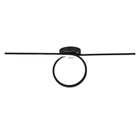 Plafonnier LED moderne OEM pour chambre et salon, éclairage décoratif intérieur en bande longue, base en fer, lumière du jour 6000K, 20000 heures, IRC80