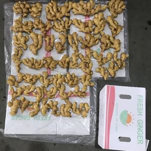 Китай, Шаньдун, свежий имбирь, горячая Распродажа, экспорт, Канада - Product Image 4
