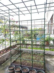 Estacas de fibra de vidrio FRP, postes de fieltro de árboles frutales para estacas de soporte de plantas - Product Image 2