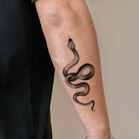 Tatouages temporaires autocollants pour bras, motif serpent vintage cool, demi-bras, imperméables et résistants à l'eau, pour bras, jambe, côté, taille