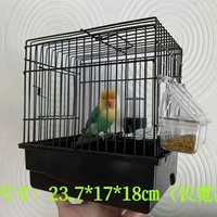Cage à oiseaux en fer exquise, de la taille d'une paume, adaptée aux perroquets, aux canaris, etc. Convient à la décoration intérieure ou aux oiseaux de compagnie.