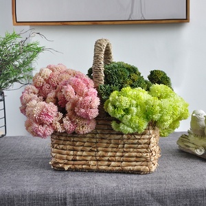 Plantes artificielles succulentes Miyazuki en résine souple pour micro-paysages, idéales pour la décoration de mariages, maisons et hôtels - Product Image 4