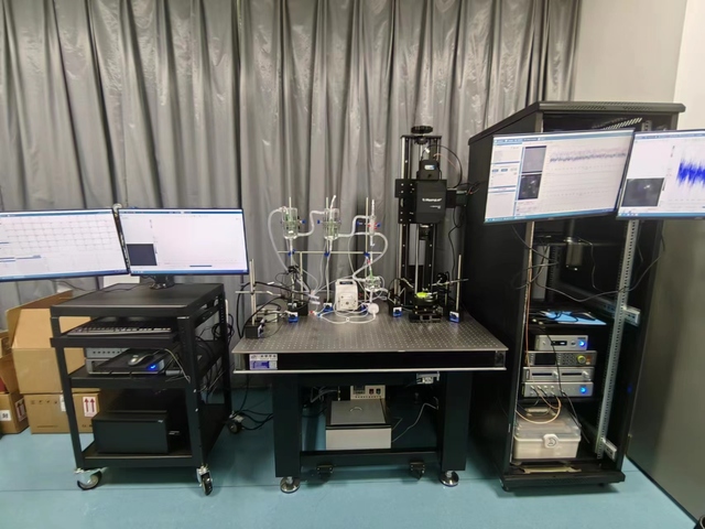 Optical Mapping System for Cardiac Regenerative Medicine & Neuroscience Research with Voltage & Calcium Imaging