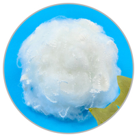 Fibre de polyester 3d 4d 6d de qualité recyclée pour le géo-textile