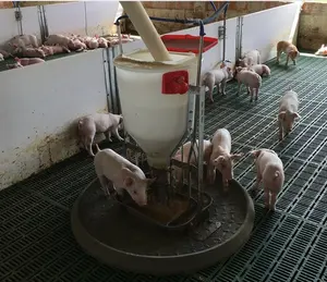 Pig farm apparatuur Droge en natte Feeder