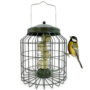 Petdom Suet Fat Ball Feeder Mangeoire à oiseaux résistante aux écureuils de grande taille pour jardin extérieur Cage en métal galvanisé solide - Product Image 1