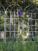 Support de fleurs de jardin thermolaqué avec cadre métallique à double arche, arche de treillis écologique, support pour tongs