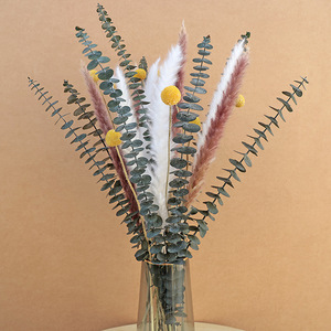 Hierba de Pampas Seca Natural, Ramo Mixto con Eucalipto y Craspedia Preservados, para Decoración Boho del Hogar, Arreglos Florales DIY - Product Image 3