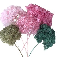 Bunga hidrangea sentuhan asli untuk dekorasi pernikahan dan rumah bunga Hydrangea