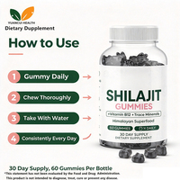 Gummies d'extrait de Shilajit sans sucre OEM, sans OGM, saveur baies mélangées, bonbons gélifiés diététiques en vrac