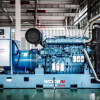 Générateur diesel silencieux 300 kVA à fonctionnement continu, 400 V, 800 kW, avec ATS, prix compétitif, moteur Weichai