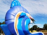 Toboggan d'eau sèche de poisson de marlin gonflable d'océan Offre Spéciale toboggan d'eau gonflable de dauphin avec piscine