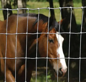 Hot Bán chăn nuôi chăn nuôi chuyên net, gia súc bút, cừu bút, cách ly và bảo vệ sự lựa chọn đáng tin cậy - Product Image 2