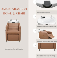 Chaise de massage électrique pour salon de coiffure, avec bac, mobilier de salon, brun