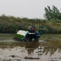 Transplanteur facile à utiliser Planteuse de riz pour semis de riz à 8 rangées