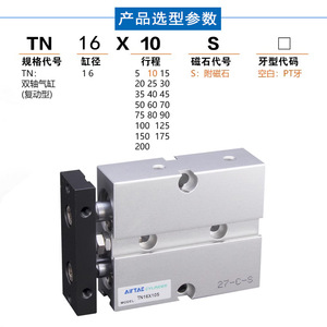 Airtac ก้านสูบคู่ TN16 TN25 X10 X20 X30 X40 X50 X60 X80 X70 X90 X100S เหล็กนิวเมติกส์มาตรฐาน - Product Image 2