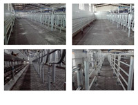 Tapis d'étable en caoutchouc anti-impact Matelas pour bétail Tapis d'élevage Tapis pour chevaux
