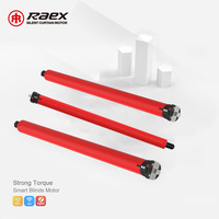 Moteur tubulaire électrique pour stores enrouleurs RAEX TD400-E 5Nm, Zigbee Wifi, moteur électronique pour rideaux en aluminium, télécommande pour stores de fenêtre
