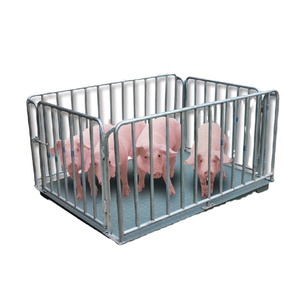 Báscula Ganadera Huaxin TCS-5 para Pesar Cerdos, Cabras y Vacas, Valla Personalizable, Pantalla LED LCD, Certificación CE ISO9001, Soporte OEM ODM - Product Image 4