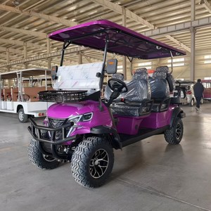 Voiturette <span class=keywords><strong>de</strong></span> <span class=keywords><strong>golf</strong></span> 4 places à essence, nouvelle conception, <span class=keywords><strong>prix</strong></span> d'usine, homologuée pour la route - Product Image 6
