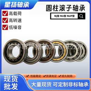 Roulements à rouleaux cylindriques NJ210EM, diamètre intérieur 50 mm, cage en laiton, précision P0, application pour boîte de vitesses - Product Image 3