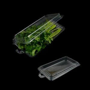 Boîte de conservation alimentaire pliable transparente en plastique jetable de qualité alimentaire pour coriandre, légumes-feuilles et autres légumes - Product Image 2