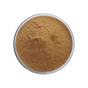Extrait de Coleus Forskohlii 100% naturel pur, poudre de <span class=keywords><strong>forskoline</strong></span> à 10% - Product Image 2