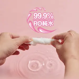 Custom Individually Wrapped Women Wet Wipes Flushable Non-woven Degradable PH Balance Yoni Wipes Vaginal Feminine Cleaning Wipes