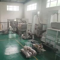 Elevador de Cangilones Tipo Z para Transporte de Aditivos de Grado Alimenticio: Ácido Glutámico, Semillas de Girasol, Soja, Cereales y Polvo de Bambú