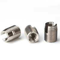 Customized 303 304 Stainless Steel Passivated Metric Inner Thread Slotted Self Tapping Threaded Insert