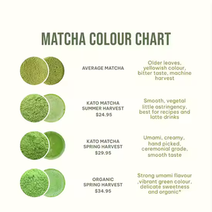 Doğrudan fabrika kaynağı YEŞİL ÇAY doğa tören sınıf organik toz yeşil çay YEŞİL ÇAY çay tozu gıda takviyesi ince yeşil çay tozu - Product Image 4