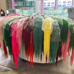 Bán Buôn 5 Pcs Cây Tự Nhiên Treo <span class=keywords><strong>Amaranth</strong></span> Hoa Bảo Quản Amaranthus Treo Amaranthus Caudatus Trang Trí Đám Cưới - Product Image 5