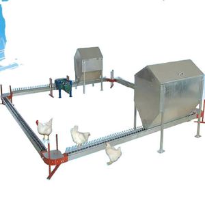 New Small Capacity Henhouse Coop Farm <strong>Chicken</strong> Poultry Layer Broiler Breeder Farming <strong>Raising</strong> Growing <strong>Feed</strong> Chain Equipment System - Product Image 1