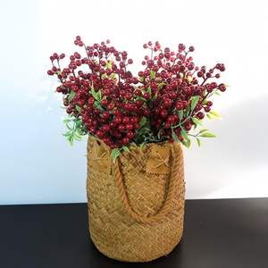 Venta al por mayor: Nuevas simulaciones de olivas, acacias y frutas de la fortuna, adornos clásicos para el hogar, accesorios de fotografía, 36 cm, de seda y espuma, ODM - Product Image 4