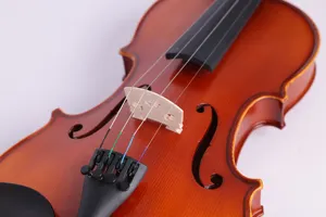 Violino adulto 4/4, todo o violino de madeira sólida profissional com estojo (vg210h)