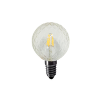 Ampoule LED à filament givrée E26 E17 E12 3.5W 110V 120V G16.5 G50