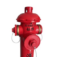 Grosir Peralatan & Aksesori pemadam kebakaran SS100/65-1.6 BIASA DI ATAS TANAH luar ruangan harga pabrik hidran api