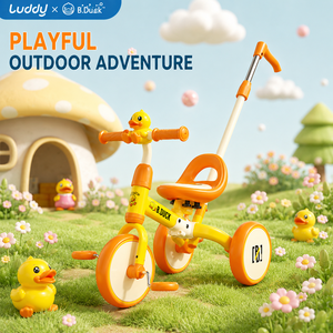 Tricycle 2-en-1 Luddy Custom 1028L pour enfants, siège réglable, vélo d'équilibre pour tout-petits, jeu intérieur/extérieur, vélo d'apprentissage à pousser, pour les 1-4 ans - Product Image 6