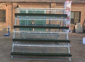 <span class=keywords><strong>Prix</strong></span> usine longue durabilité métal galvanisé un type automatique batterie couche cages à œufs de poulet en malaisie - Product Image 5