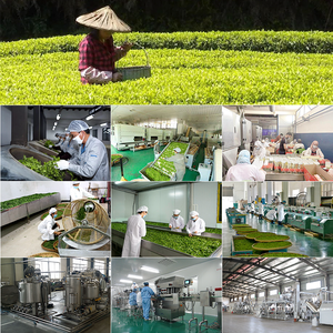 Thé minceur Eternalelinor en gros unisexe, le plus efficace, bon choix commercial, marque privée - Product Image 3