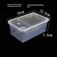 Mini boîte d'élevage pour reptiles en PP, enclos ventilé pour geckos, lézards, araignées, scorpions, mille-pattes, grenouilles cornées