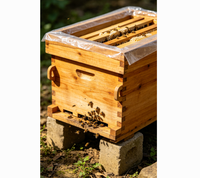 Colmena Plana de 10 Cuadros Estilo Chino, Madera Maciza, Colmena de Apicultura con Cera de Abeja