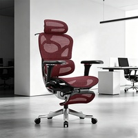 Chaise de bureau ergonomique moderne personnalisable avec assise réglable en profondeur, support lombaire à gaz et dossier en maille