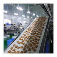 Machine à biscuits HYDGJ-400 100 kg/h à vendre