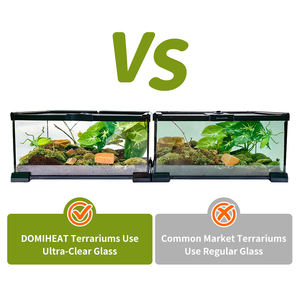 Vivarium en verre 20x20x30 pour exposition en salon, livraison compacte et peu encombrante - Product Image 4