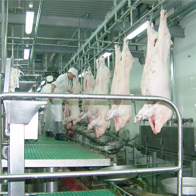 Linha de abattoir moderna, equipamento de amassamento para processamento de carne de porco