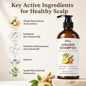 <span class=keywords><strong>Shampoo</strong></span> Liquido Antiforfora all'Estratto di Zenzero, Equilibra il Sebo, Allevia il Prurito del Cuoio Capelluto, Nutre i Capelli Secchi e Danneggiati, Vendita all'Ingrosso - Product Image 4