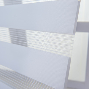 पंच-मुक्त ब्लैकआउट अंधा सादगी डबल-लेयर रोलर पुल प्रकार लिफ्ट-एंड-ड्रॉप मोटी अनुकूलन योग्य आधुनिक डिजाइन ज़ेबरा - Product Image 3